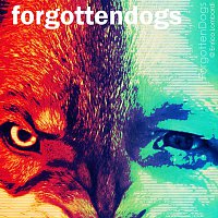 Forgotten Dogs