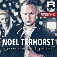 Noel Terhorst – Dein wahres Gesicht [Daniel Troha RMX]
