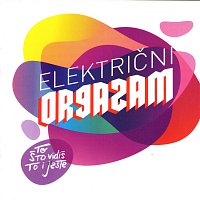 ELEKTRICNI ORGAZAM – TO STO VIDIS TO I JESTE