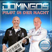 Domingos – Pilot der Nacht