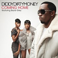 Diddy - Dirty Money, Skylar Grey – Coming Home
