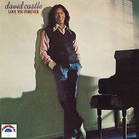 David Castle – Love You Forever