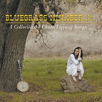 Přední strana obalu CD Bluegrass Number 1's