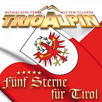 Přední strana obalu CD Trio Alpin - Fünf Sterne für Tirol
