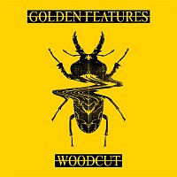 Golden Features – Woodcut (feat. Rromarin) [Remixes]