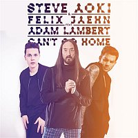 Steve Aoki & Felix Jaehn, Adam Lambert – Can't Go Home (Radio Edit)