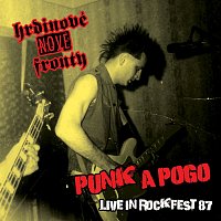 Hrdinové nové fronty – Punk a pogo. Live in Rockfest 87 FLAC
