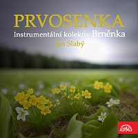Instrumentální kolektiv Brněnka, Jan Slabý – Prvosenka