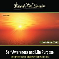Self Awareness and Life Purpose: Isochronic Tones Brainwave Entrainment