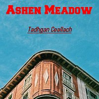 Přední strana obalu CD Ashen Meadow