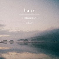 Přední strana obalu CD Homegrown (Remixes)
