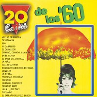 Various  Artists – 20 Exitos de los '60