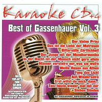 Přední strana obalu CD Best of Gassenhauer Vol.3