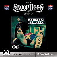 Ice Cube – Death Certificate