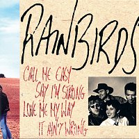 Rainbirds – Call Me Easy Say I'm Strong Love Me My Way It Ain't Wrong