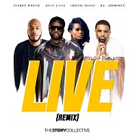 Pierre Medor, Rico Love, RL, Crystal Nicole, The Story Collective – Live [Remix]