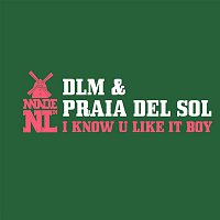Praia Del Sol & DLM – I Know U Like It Boy