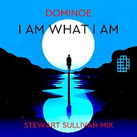 I Am What I Am (feat. Jane Bogaert) [Stewart Sullivan Mix]