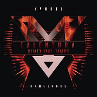 Yandel, Tempo – Calentura (Remix)