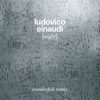 Ludovico Einaudi – Night [Wunderfish Remix]