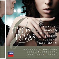 Různí interpreti – Divos & Divas [2 CDs]