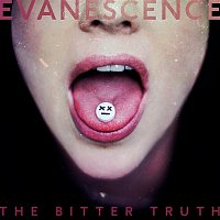 Evanescence – Wasted On You