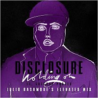 Disclosure, Gregory Porter – Holding On [Julio Bashmore's Elevated Mix]