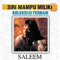Saleem – Koleksi Lagu Lagu Terbaik