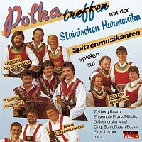 Různí interpreti – Polkatreffen mit der Steirischen Harmonika