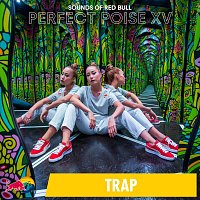Sounds of Red Bull – Perfect Poise XV