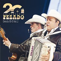 Directo 93-13 [En Vivo/20 Aniversario/Vol.2]