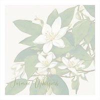 Přední strana obalu CD Jasmine Whispers