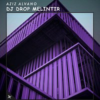 Přední strana obalu CD DJ Drop Melintir