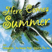 Různí interpreti – Here Comes Summer