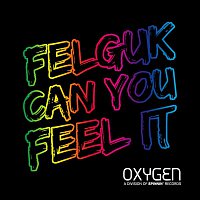 Felguk – Can You Feel It