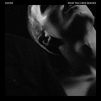 GOOSE – What You Need [Remixes]