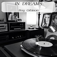 Přední strana obalu CD In Dreams