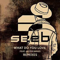 What Do You Love [Remixes]