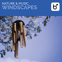 David Arkenstone – Nature & Music: Windscapes