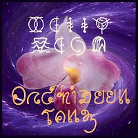Přední strana obalu CD Orchideentanz