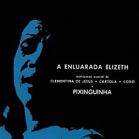 Elizeth Cardoso – A Enluarada Elizeth