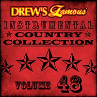 Přední strana obalu CD Drew's Famous Instrumental Country Collection [Vol. 48]