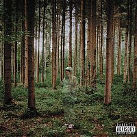 Přední strana obalu CD Something To Hide