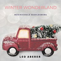 Leo Aberer, Musikschule Vasoldsberg – Winter Wonderland (Single Version)