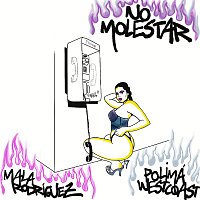 No Molestar