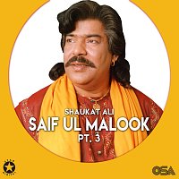 Shaukat Ali – Saif Ul Malook, Pt. 3