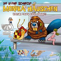 Die kleine Schnecke Monika Hauschen – 44: Warum bauen Biber Damme?