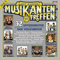 Přední strana obalu CD Das große Musikantentreffen - Folge 19