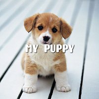 LalaTv – My Puppy