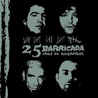 25 Anos de Rocanrol (DMD album)